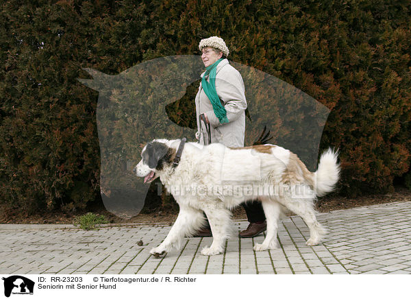 Seniorin mit Senior Hund / older woman with old dog / RR-23203