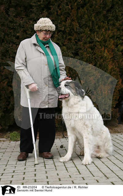 Seniorin mit Senior Hund / older woman with old dog / RR-23204