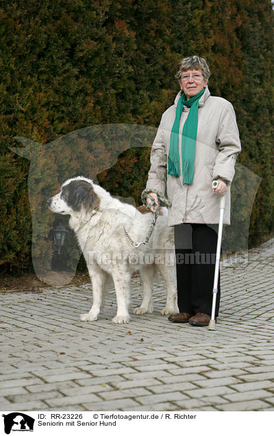 Seniorin mit Senior Hund / older woman with old dog / RR-23226