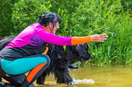 Neufundlnder wird ausgebildet zum Wasserrettungshund