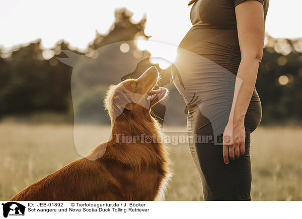 Schwangere und Nova Scotia Duck Tolling Retriever / pregnant woman and Nova Scotia Duck Tolling Retriever / JEB-01892