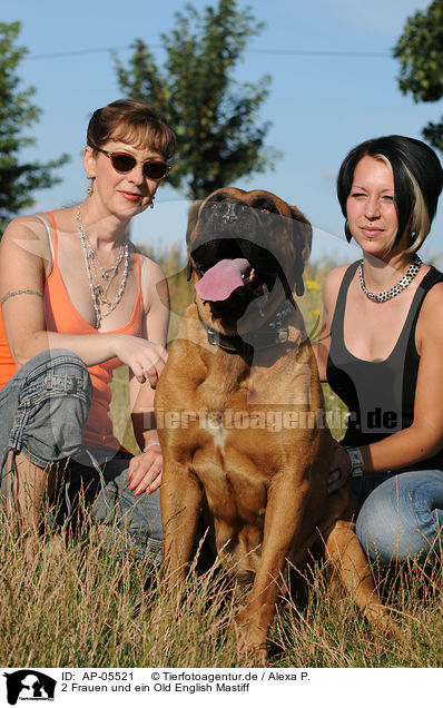 2 Frauen und ein Old English Mastiff / AP-05521