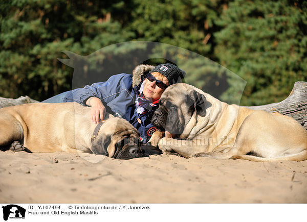 Frau und Old English Mastiffs / wom and Old English Mastiffs / YJ-07494