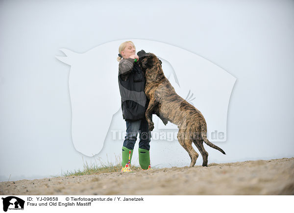 Frau und Old English Mastiff / YJ-09658
