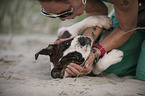 Frau und junge Olde English Bulldogge