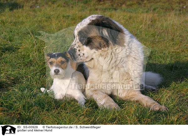 groer und kleiner Hund / SS-00928