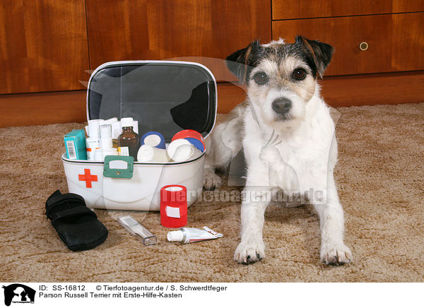 Parson Russell Terrier mit Erste-Hilfe-Kasten / Parson Russell Terrier with first aid box / SS-16812