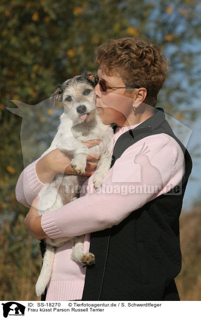 Frau ksst Parson Russell Terrier / SS-18270