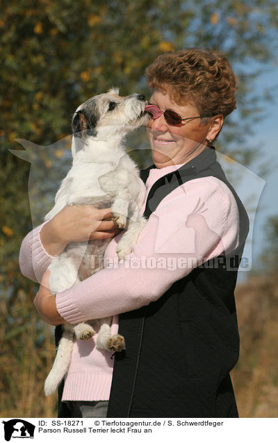 Parson Russell Terrier leckt Frau an / Parson Russell Terrier licks face of a woman / SS-18271