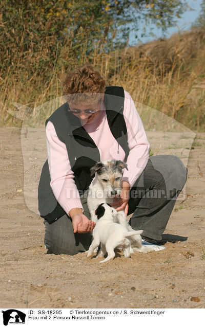 Frau mit 2 Parson Russell Terrier / woman with 2 Parson Russell Terrier / SS-18295