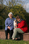 Frauen und Parson Russell Terrier