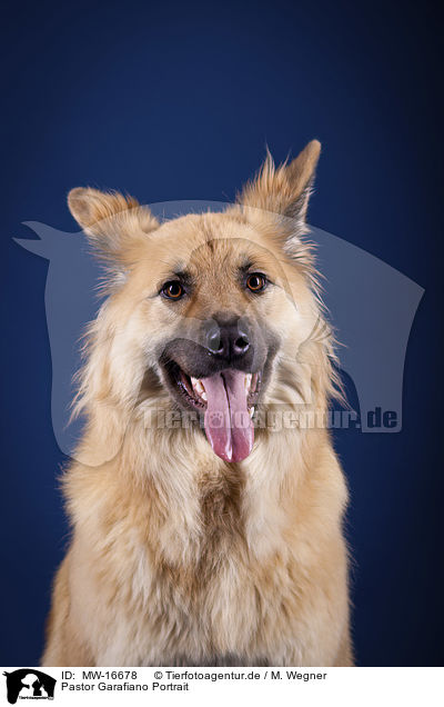 Pastor Garafiano Portrait / Pastor Garafiano Portrait / MW-16678