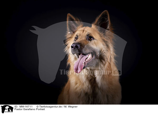 Pastor Garafiano Portrait / Pastor Garafiano Portrait / MW-16711