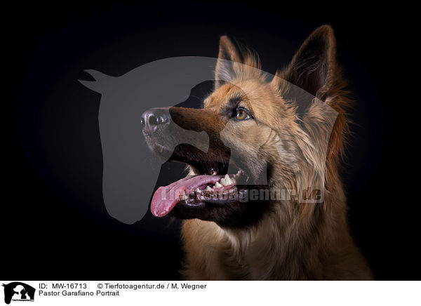 Pastor Garafiano Portrait / Pastor Garafiano Portrait / MW-16713