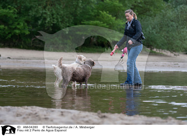 Frau mit 2 Perro de Agua Espanol / woman with 2 Perro de Agua Espanol / AM-04280