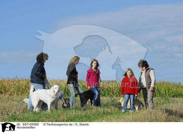 Hundetreffen / humans and dogs / SST-05589