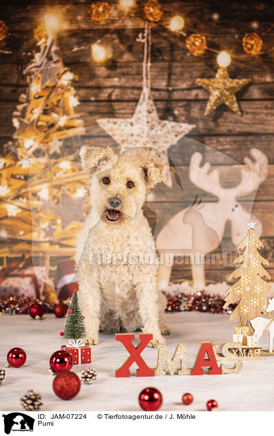 Pumi / Pumi / JAM-07224