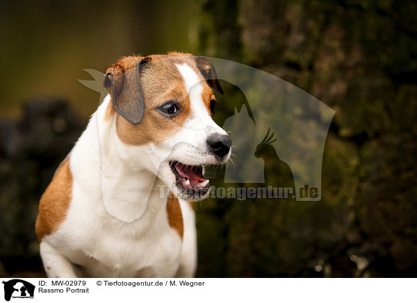 Rassmo Portrait / MW-02979