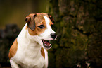 Rassmo Portrait