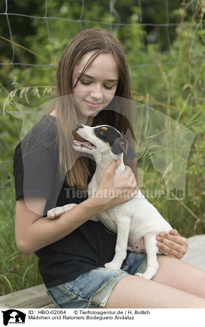 Mdchen und Ratonero Bodeguero Andaluz / girl and Ratonero Bodeguero Andaluz / HBO-02064