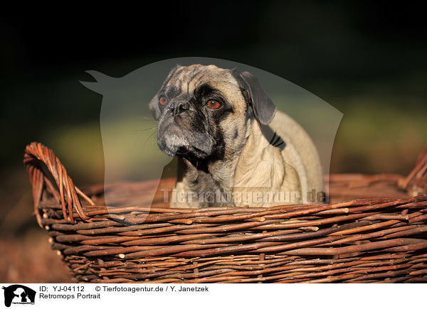 Retromops Portrait / YJ-04112