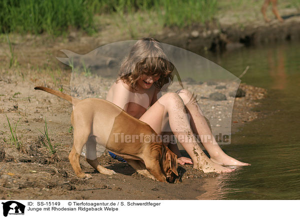 Junge mit Rhodesian Ridgeback Welpe / SS-15149