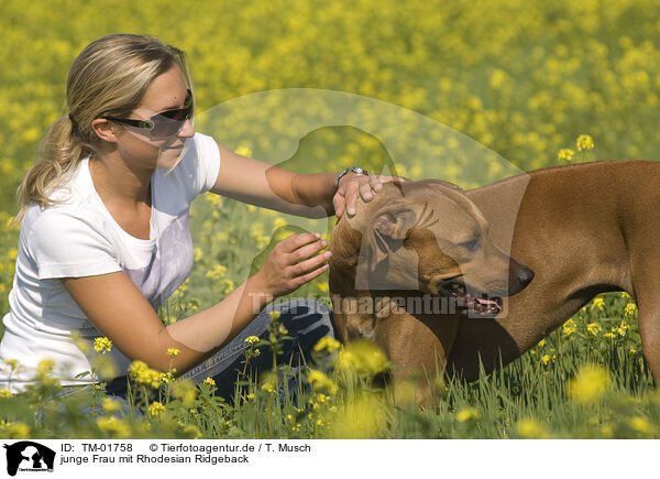 junge Frau mit Rhodesian Ridgeback / TM-01758