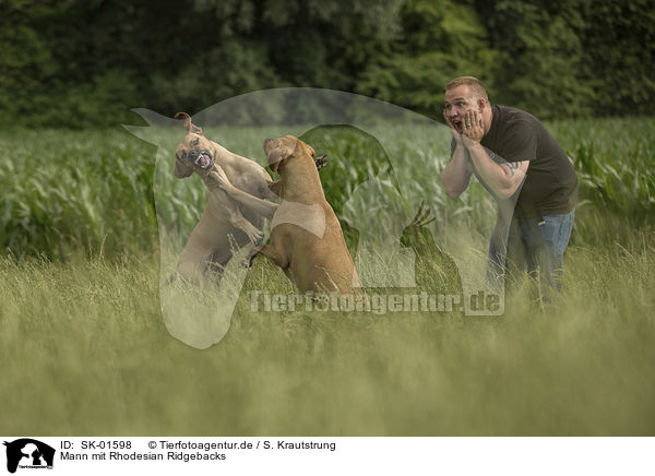 Mann mit Rhodesian Ridgebacks / man with Rhodesian Ridgebacks / SK-01598