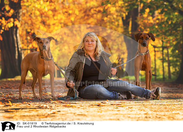 Frau und 2 Rhodesian Ridgebacks / woman and 2 Rhodesian Ridgebacks / SK-01819