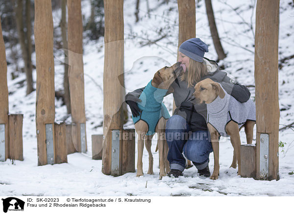Frau und 2 Rhodesian Ridgebacks / woman and 2 Rhodesian Ridgebacks / SK-02023