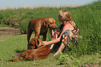 Frau mit Rhodesian Ridgebacks