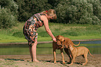 Frau mit Rhodesian Ridgebacks