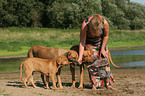 Frau mit Rhodesian Ridgebacks