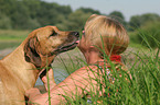 alter Rhodesian Ridgeback leckt Frau ab