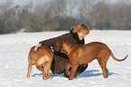 Frau mit Rhodesian Ridgebacks im Schnee