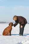 Frau mit Rhodesian Ridgeback im Schnee