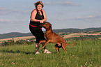 spielender Rhodesian Ridgeback