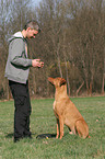 Mann und Rhodesian Ridgeback