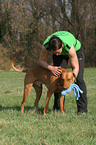 Frau mit Rhodesian Ridgeback