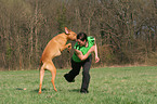 Frau mit Rhodesian Ridgeback