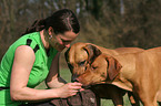 Frau fttert Rhodesian Ridgebacks