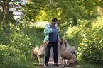 Frau mit Rhodesian Ridgebacks