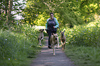 Frau mit Rhodesian Ridgebacks