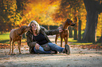 2 Rhodesian Ridgebacks