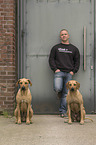 Mann und 2 Rhodesian Ridgebacks