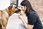 junge Frau mit Rhodesian Ridgeback