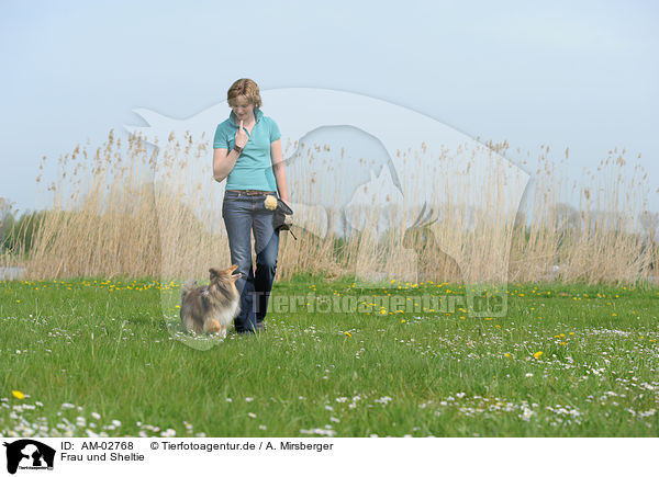 Frau und Sheltie / woman and Shetland Sheepdog / AM-02768