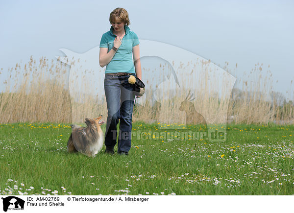 Frau und Sheltie / woman and Shetland Sheepdog / AM-02769
