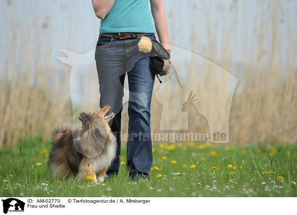 Frau und Sheltie / woman and Shetland Sheepdog / AM-02770