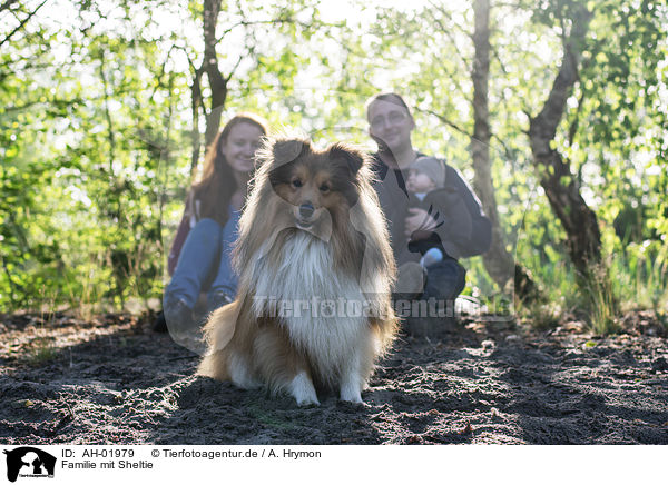 Familie mit Sheltie / family with Sheltie / AH-01979
